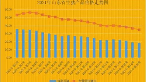 东北虎主场吞下苦果，山东大汉这波“逆风翻盘”看得人心脏受不了！