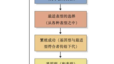 被骂十年猎奇，这张照片背后的真相究竟多离谱？