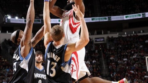 狼崽啃不动雷霆？一场让人血压飙升的肉搏战，看完你就懂为啥森林狼这么难了！