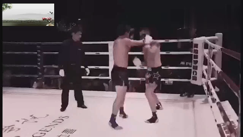 摔跤手的全面压制：柔术黑带如何用两回合终结拳击手的四连胜