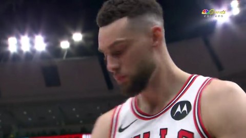 那一夜，芝加哥的刺骨寒风，吹倒了夏洛特的黄蜂窝